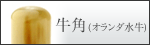 ���p[�I�����_����]