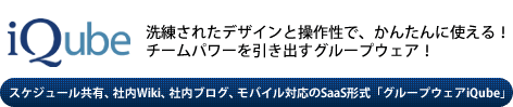 iQubeについて