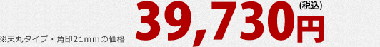 天丸タイプ・角印21mmの価格です