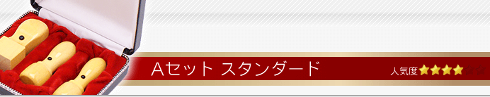 会社設立Aセット