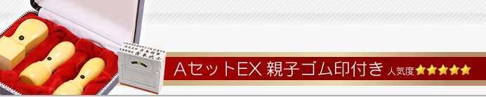 会社設立Aセット