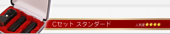 会社設立Cセット