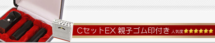 会社設立Cセット