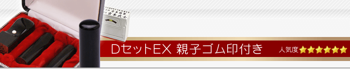 会社設立DセットEX