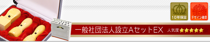 一般社団法人設立セットAセット