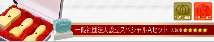一般社団法人設立セットAセット
