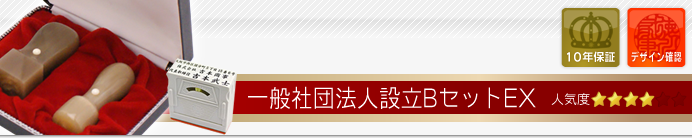 一般社団法人設立セットBセット