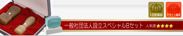 一般社団法人設立セットBセット