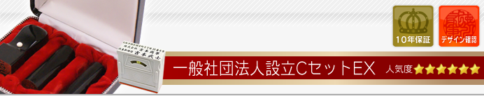 一般社団法人設立セットCセット