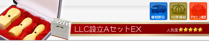 LLC(合同会社)設立Aセット