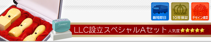 LLC(合同会社)設立Aセット