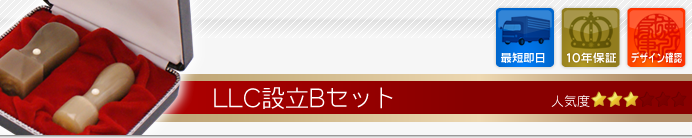 LLC(合同会社)設立Bセット