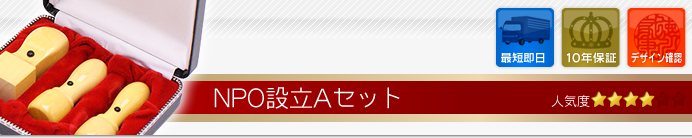 NPO設立Aセット