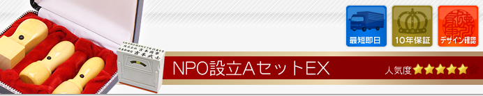 NPO設立Aセット