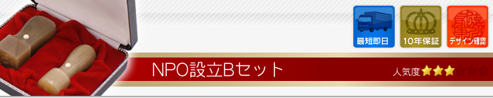 NPO設立Bセット