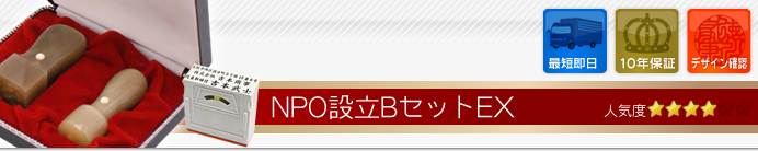 NPO設立Bセット
