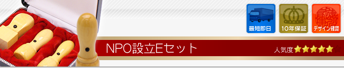 NPO設立Eセット