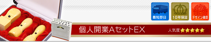 個人開業AセットEX