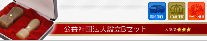 公益社団法人設立Bセット
