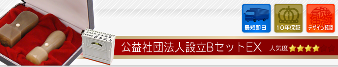 公益社団法人設立Bセット
