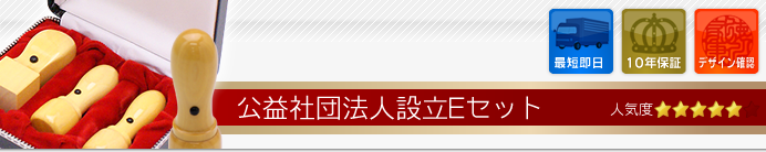 公益社団法人設立Eセット