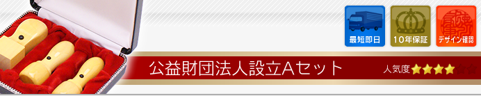 公益財団法人設立Aセット