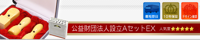 公益財団法人設立Aセット