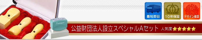 公益財団法人設立Aセット