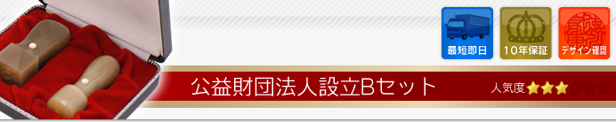 公益財団法人設立Bセット