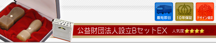 公益財団法人設立Bセット
