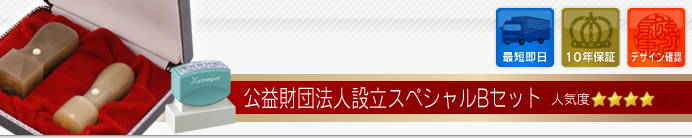 公益財団法人設立Bセット