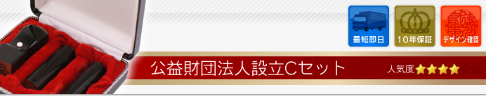 公益財団法人設立Cセット