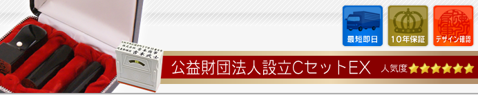 公益財団法人設立Cセット