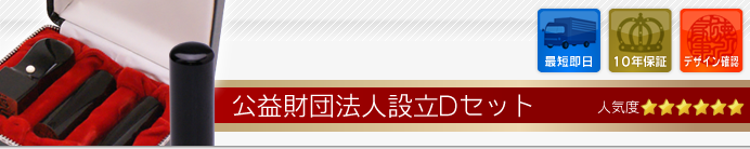 公益財団法人設立Cセット