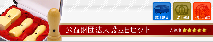 公益財団法人設立Eセット