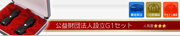 公益財団法人設立G1セット