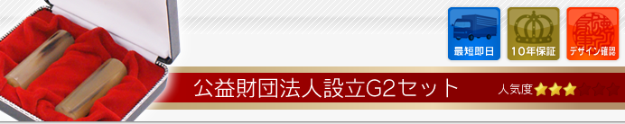 公益財団法人設立Cセット
