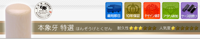 認め印 本象牙(特選)