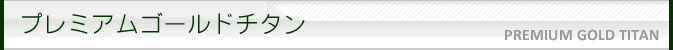 プレミアムゴールドチタンはんこ