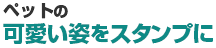 ペットの可愛い姿をスタンプに
