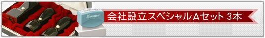 会社設立スペシャルAセット