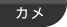 カメ