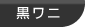 黒ワニ