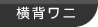 横背ワニ