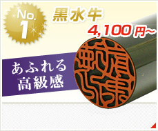 人気ランキング