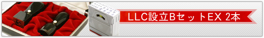 LLC設立BセットEX