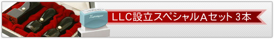 LLC設立スペシャルAセット