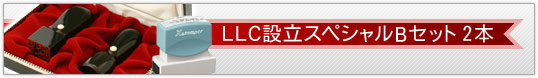LLC設立スペシャルBセット