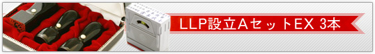 LLP設立AセットEX