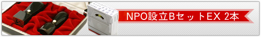 NPO設立BセットEX